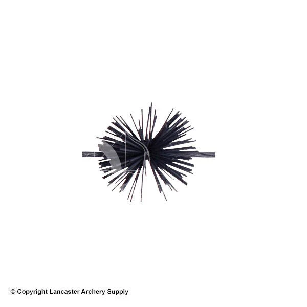 X-Spot Colored Whiskers